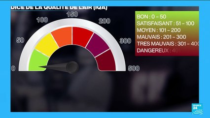 Pollution en Inde : New Delhi au bord de l'asphyxie
