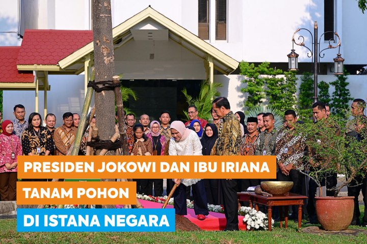 Presiden Jokowi dan Ibu Iriana Tanam Pohon di Istana Negara