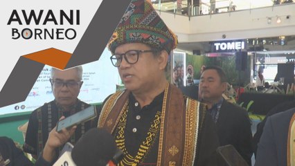Pengerusi STB cadang wujudkan semula Feri Malaysia