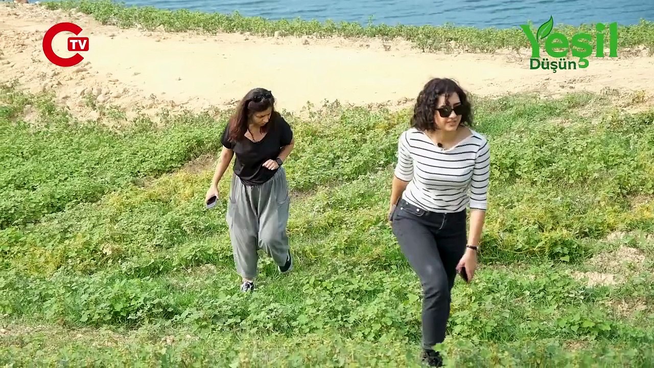 Ömerli Barajı Havzası’nı tehdit eden OSB hayata geçecek: İstanbul’un suyu zehirlenebilir!