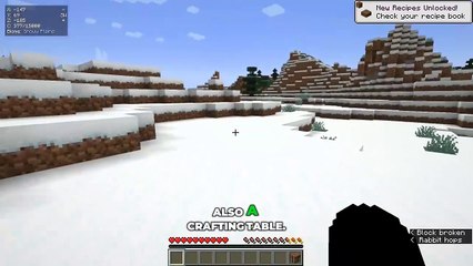 Minecraft_But__There_Are_Custom_Combined_Items...!!