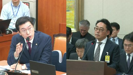 "한국말 하더니 갑자기 영어?"...국감서 '통역 설전' / YTN