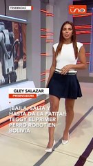 PRIMER PERRO ROBOT EN BOLIVIA