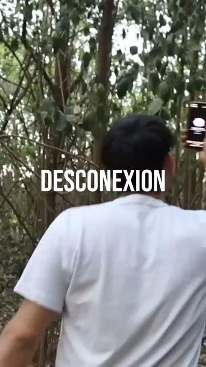 TRAILER DESCONEXION