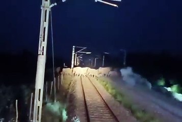 Elephants cross over the railway track