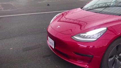 보행자 사망 사고 관련 테슬라 FSD 조사...완전자율주행 차질? / YTN