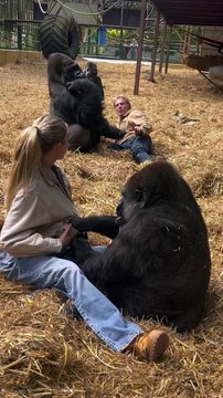 Kifu is SO greedy but so smart!! He never misses when I try to feed and sneak tambaby (his wife) food  but poor tambaby always getting robbed by him  NOW... for those of you that don't know I've known th