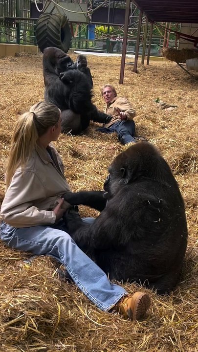 Kifu is SO greedy but so smart!! He never misses when I try to feed and sneak tambaby (his wife) food  but poor tambaby always getting robbed by him  NOW... for those of you that don't know I've known th