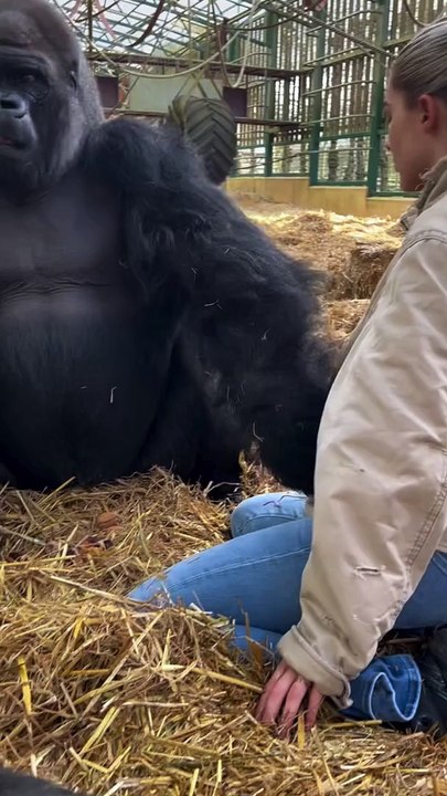 Kifu won't let any of the others get any