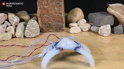 Bu Robot Kendini Kurtarmak İçin Bacağını Kesebiliyor