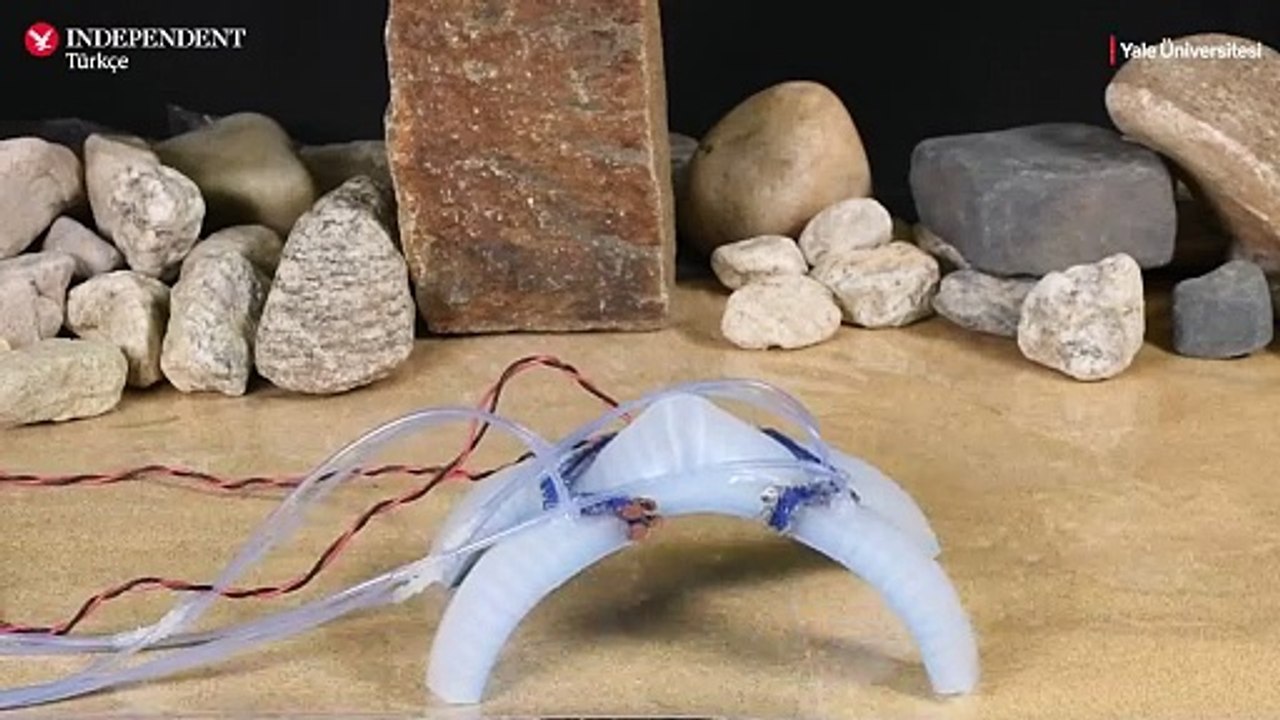 Bu Robot Kendini Kurtarmak İçin Bacağını Kesebiliyor