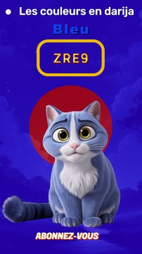 Apprendre les Couleurs en Darija Marocain : Noir, Blanc, Bleu, Rouge