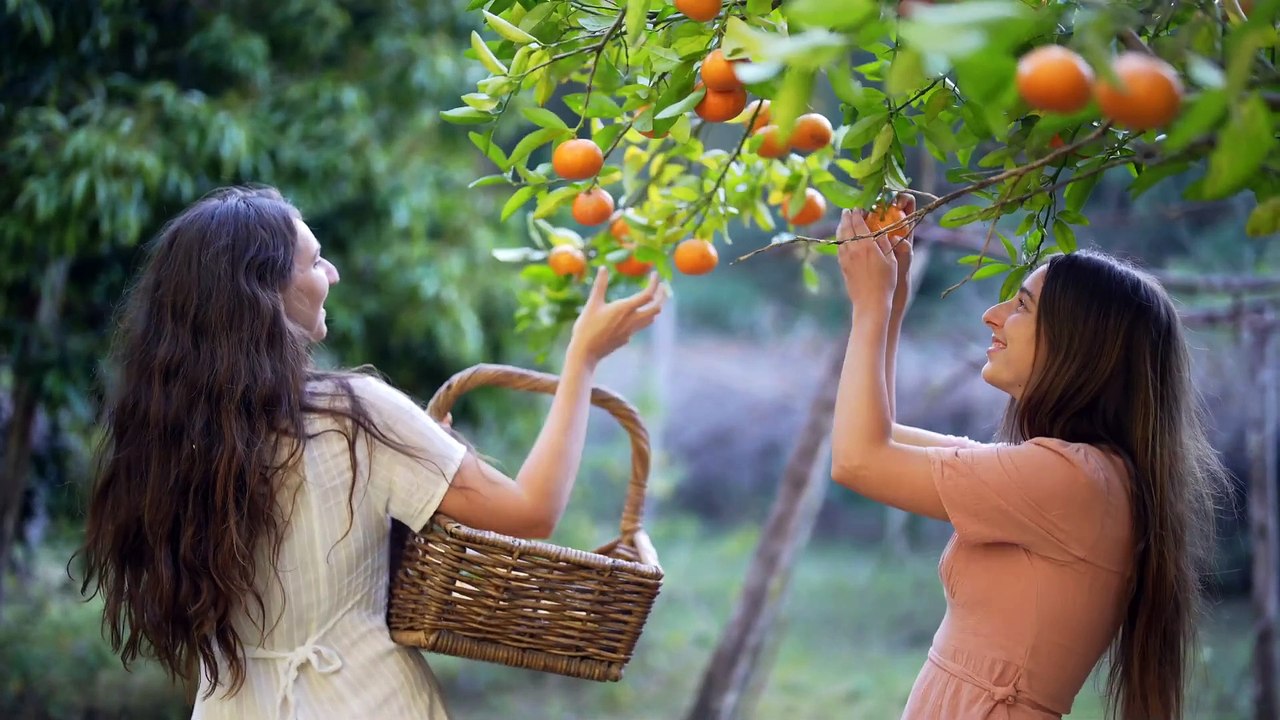 Leaving Society to Grow a Forest of Magical Trees_ How We Found Hope in Nature(1080P_HD)