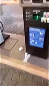 Mit li quatrini o la carta, comp? : il distributore al self service parla in dialetto