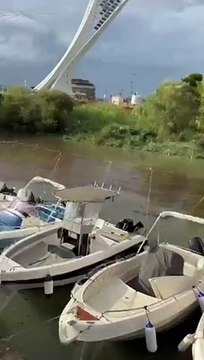 Una marea nera nel fiume Pescara