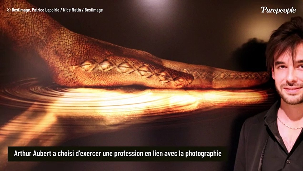 Jean-Louis Aubert : Voici à quoi ressemble son fils Arthur, artiste reconnu, qui ressemble beaucoup à sa discrète maman