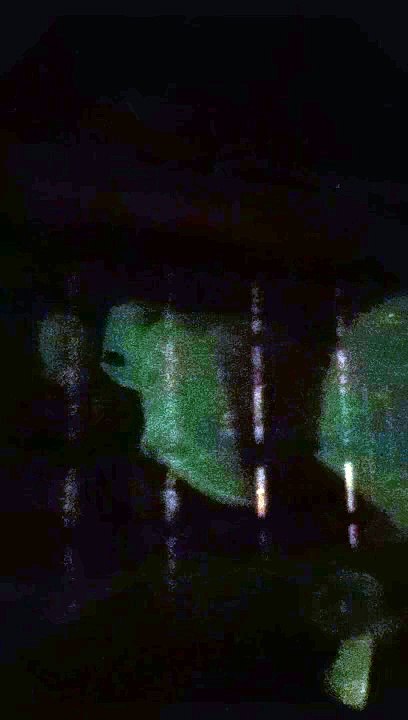 VID_20240911_224421