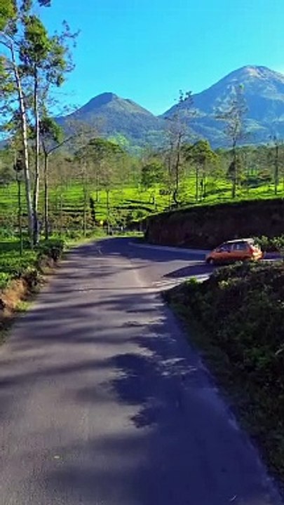Wonosobo punya