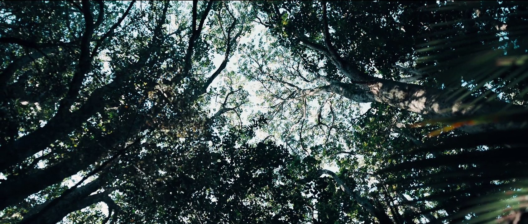 THE CONVERT Film