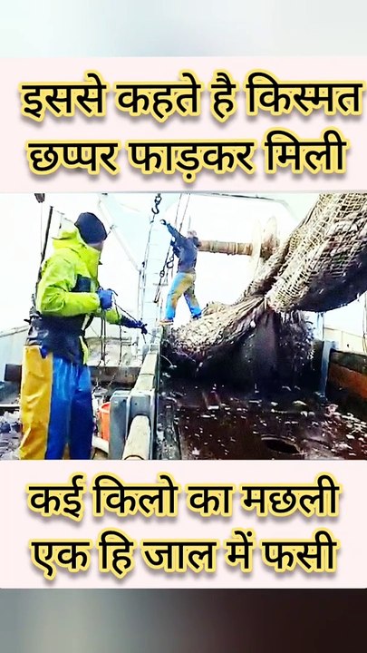 मछलीया हि मछलीया Net Full Fish 