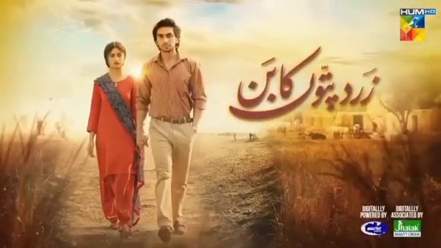 Zard Patton Ka Bunn - 2nd Last Episode 24 [CC] - 20th Oct 24 - HUM TV - Zard Patton Ka Bunn Ep 24