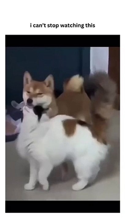 1000044381