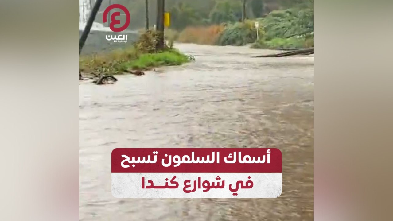 أسماك السلمون تسبح في شوارع كنـدا