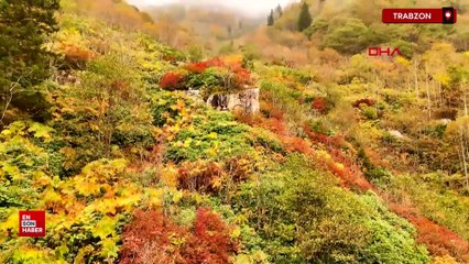 Doğu Karadeniz’de sonbahar manzaraları