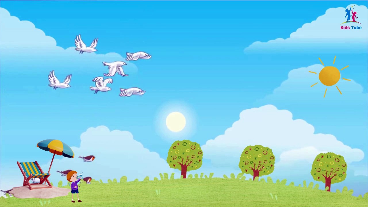 ️ Weather and Seasons | Fun Facts, What to Plant, and What to Eat! 