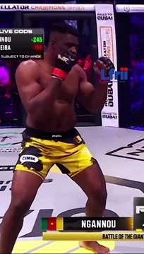 Francis NGANNOU détruit Renan Ferreira