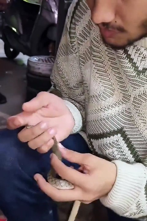 رجل هندي يحاول إنعاش ثعبان ميت وينجح