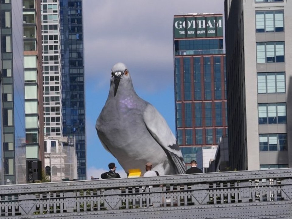 Übergroße taube nimmt new york city ein