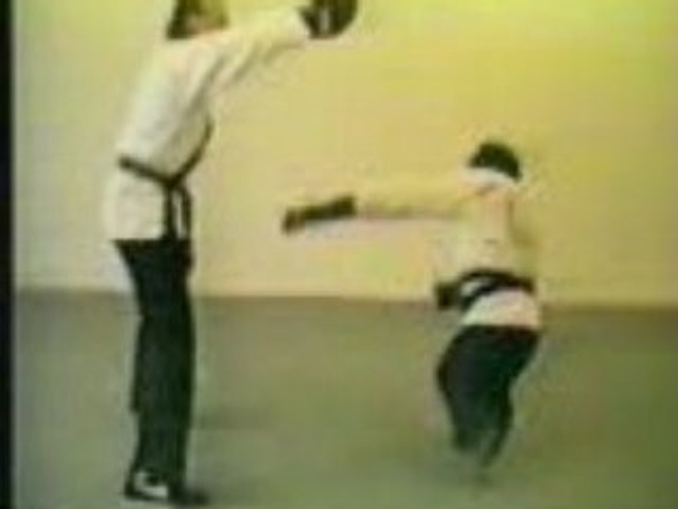 Singe et karaté