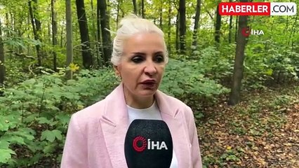 Almanya'da köpek sahipleri her yıl vergi veriyorKöpek vergisini ödemeyenlere 10 bin euro ceza