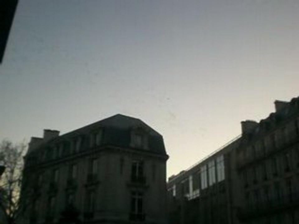 les oiseaux