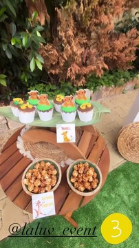 Κατερίνα Στικούδη: Το εντυπωσιακό animal zoo theme πάρτι για τα 3α γενέθλια του γιου της, Βύρωνα!