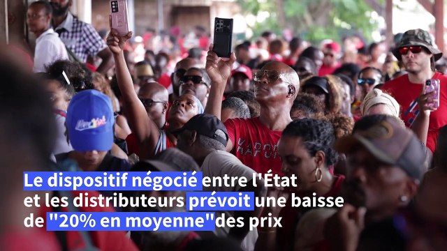 Martinique: rassemblement de plusieurs milliers de manifestants contre la vie chère