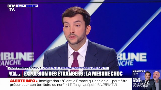 Jean-Philippe Tanguy (RN): Est-ce qu'il y a trop d'immigrés dans notre pays? Oui (...) Est-ce qu'il y a des immigrés qui travaillent et qui apportent à la France? Oui