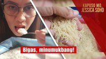 Hilaw na bigas, minumukbang?! | Kapuso Mo, Jessica Soho