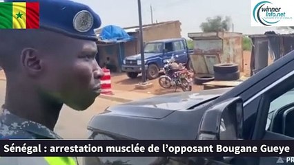 Sénégal _ arrestation musclée de l’opposant Bougane Gueye