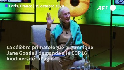 Jane Goodall appelle à "l'action" à l'Unesco, avant la COP16 biodiversité
