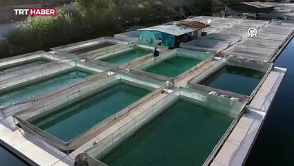 Deprem sonrası toparlanan Kahramanmaraşlı balıkçılar 54 ülkeye balık ihraç etti
