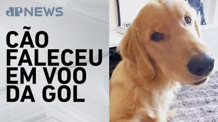 Justiça arquiva inquérito que investigava morte de cachorro Joca