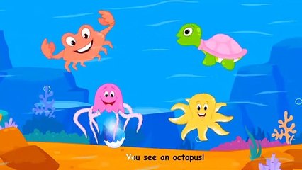 Learn Sea Animal Names - Coco Kids Songs & Nursery Rhymes