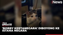 Lucunya Bobby Kertanegara Salah Satu Penghuni Istana Negara Peliharaan Presiden Prabowo