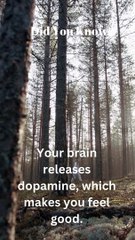 Powerful motivational speech vedio #shorts