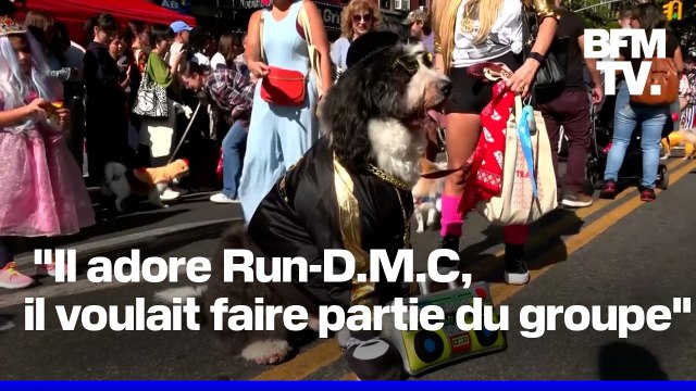 Beetlejuice, Hot-dogs, citrouilles… À New-York, la 34e édition de la parade d’Halloween des chiens a attiré des milliers de curieux