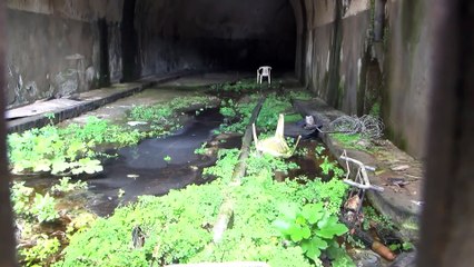 Rtp tg 20 ottobre 2024