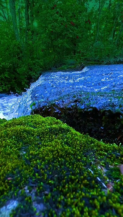 All Time Fav Musical Theme Video  "ZEM TV Hit Documentaries, Movies, Music Videos,