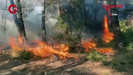 Çanakkale’de orman yangını... Ekipler müdahale ediyor